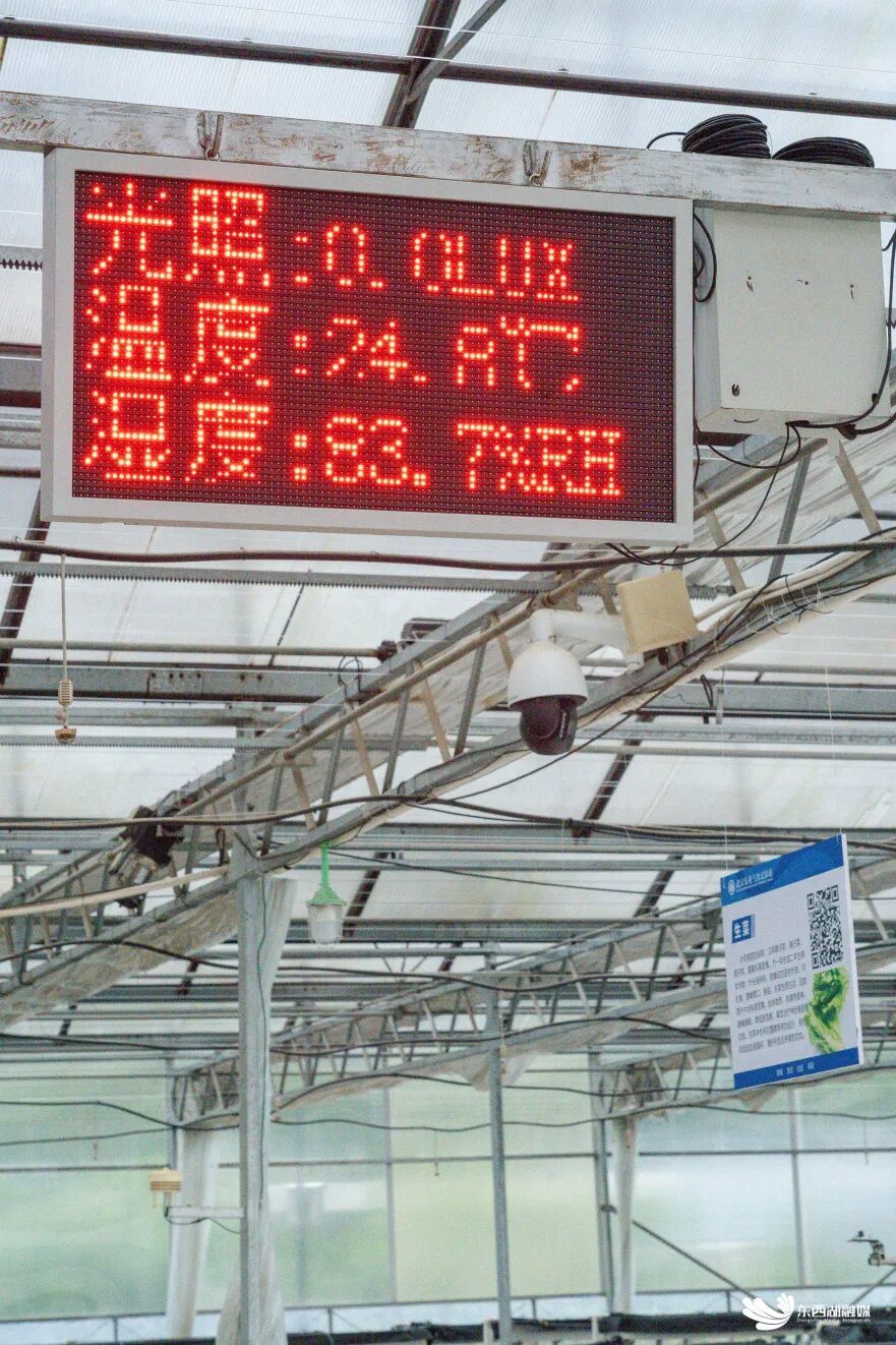 微信图片_20251011164420.jpg