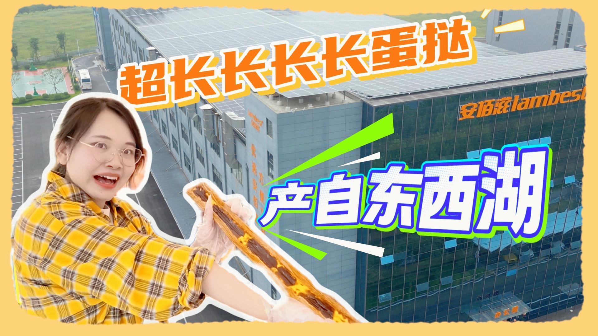 长长长长蛋挞 产自东西湖