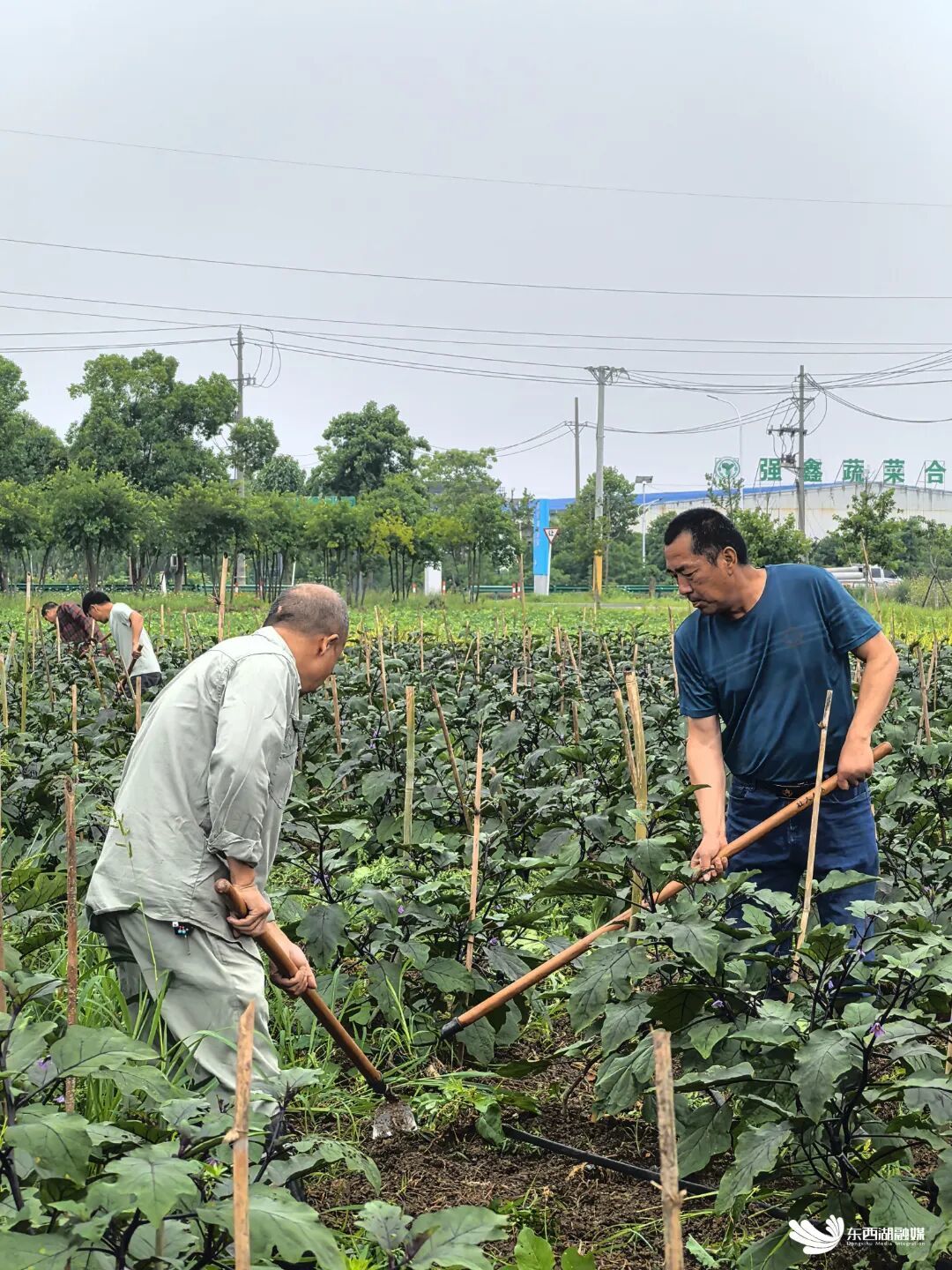 微信图片_2026-06-18_112237_675.jpg