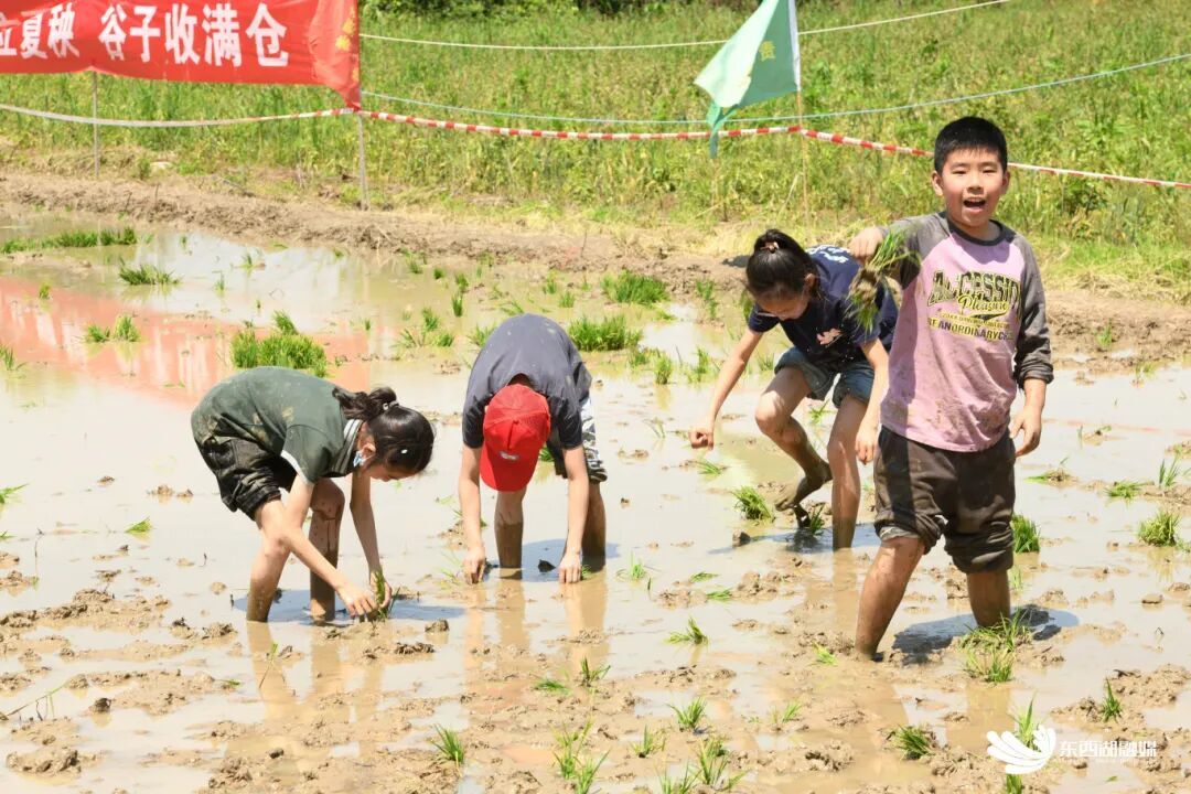 微信图片_20251222094418.jpg
