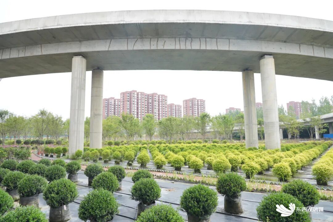 微信图片_20251222095314.jpg